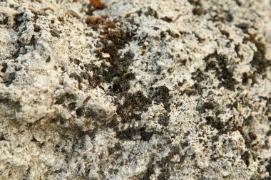 doku eski kaba grunge dan