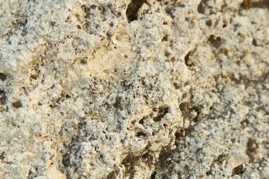 doku eski kaba grunge yıpranmış duvar çatlakları ve moss ile