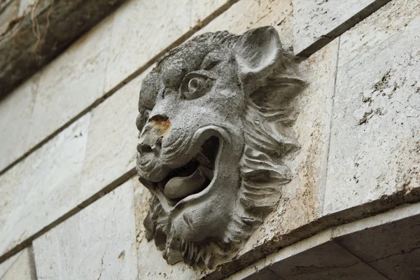 Cabeça de leão, elemento decorativo — Fotografia de Stock