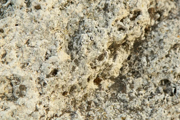 亀裂とモス古いの大まかなグランジ風化壁からテクスチャ — ストック写真