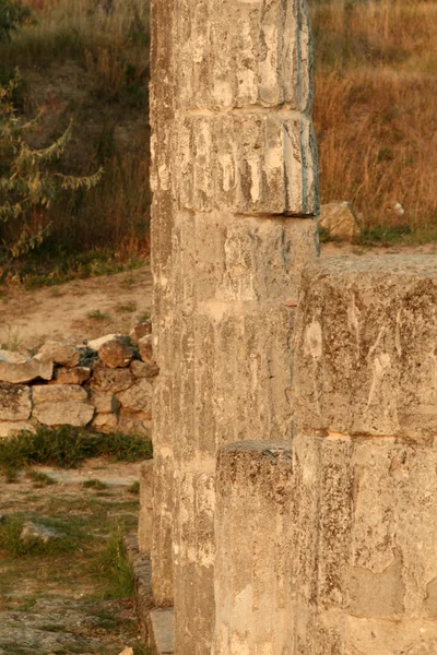 Antik kent pantikapaion Kazısı — Stok fotoğraf