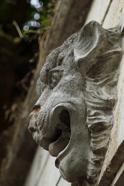 ライオン ヘッド、装飾的な要素 — ストック写真