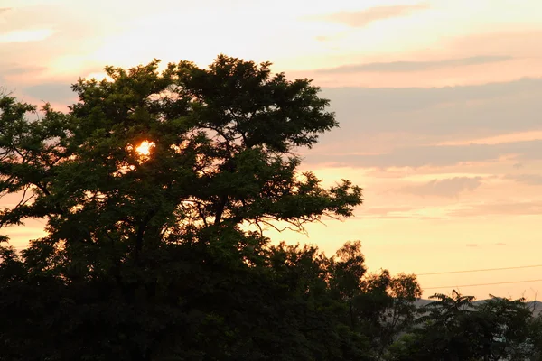 美しい明るい夕日。サンセット — ストック写真