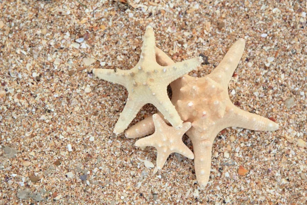 Звезда на песчаном фоне — стоковое фото