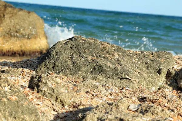 Tropická pláž s kamením a vlny — Stock fotografie