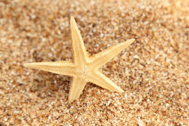 güzel deniz manzarası