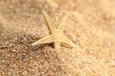 güzel deniz manzarası