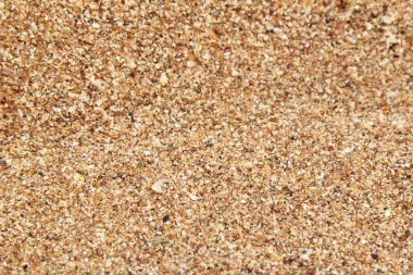 güzel kum arka plan