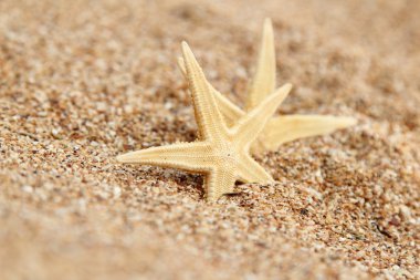 güzel deniz manzarası