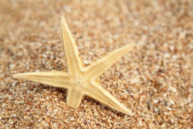 güzel deniz manzarası