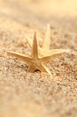 güzel deniz manzarası