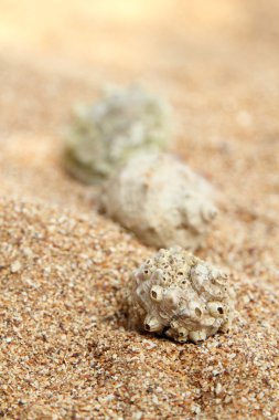 eski ve pis arka plan.