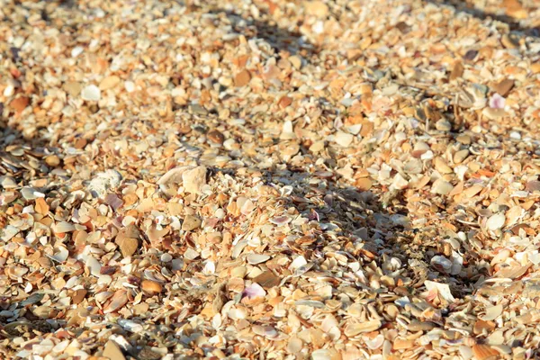 Sea sand of shallow shells with shadow. — Stock Photo, Image
