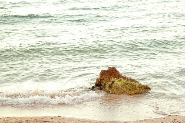 Grote steen met algen in de zee. — Stockfoto