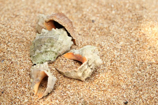 Europäisches kleines Mädchen in hellen Kleidern spielen und haben Spaß am Meer zu einem Sommerthema — Stockfoto