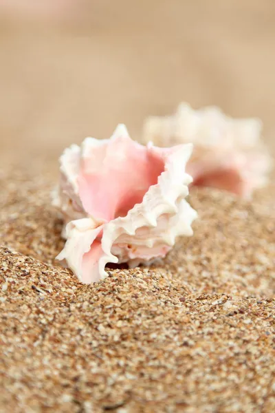 Europäisches kleines Mädchen in hellen Kleidern spielen und haben Spaß am Meer zu einem Sommerthema — Stockfoto