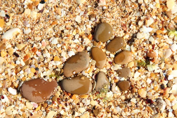 Random wet round stones at the beach — Stock Photo, Image