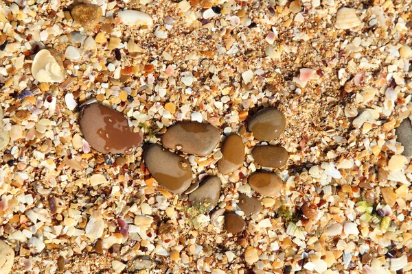 Random wet round stones at the beach — Stock Photo, Image