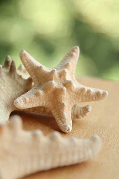 Beautiful starfish blurred background outdoors — Stock Photo, Image