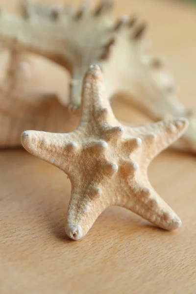 Estrella de mar con espigas sobre fondo de madera al aire libre — Foto de Stock