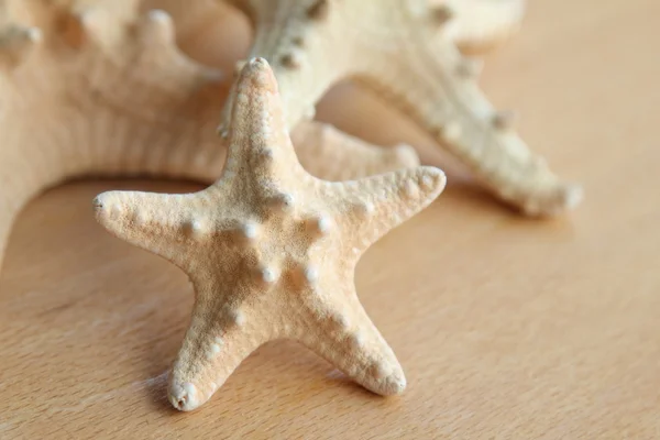 Starfish with spikes on wooden background outdoors — Stock Photo, Image