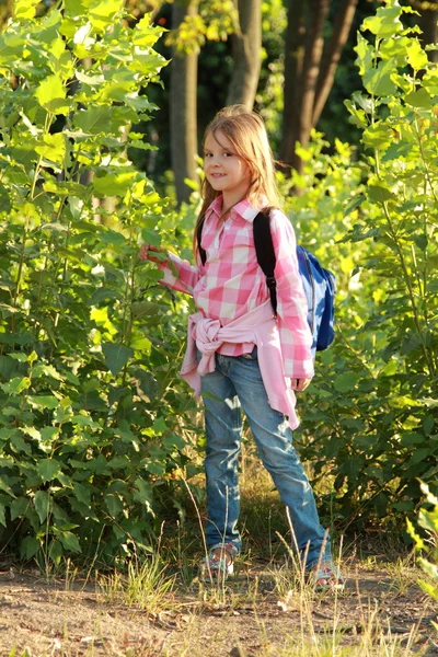 Adorable little schoolgirl — Stock Photo, Image