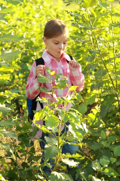 Entzückendes kleines Schulmädchen — Stockfoto