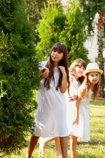 Three Stylish Cheerful Young Girls Walking Park — Stock Photo, Image