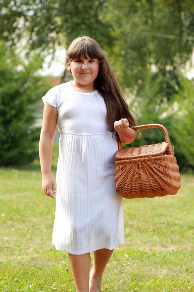 Flicka i en picknick i sommaren park — Stockfoto