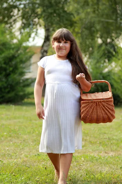 Niña en el parque con una cesta de picnic — Foto de Stock