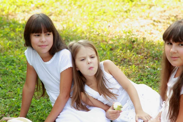 Schattige kinderen op een picknick — Stockfoto