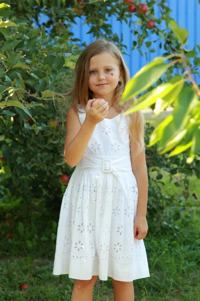 Kleines Mädchen pflückt Äpfel im Apfelgarten — Stockfoto