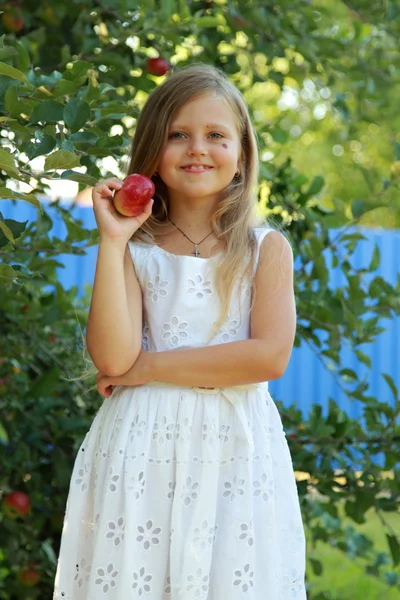 Маленькая девочка собирает яблоки в яблоневом саду — стоковое фото