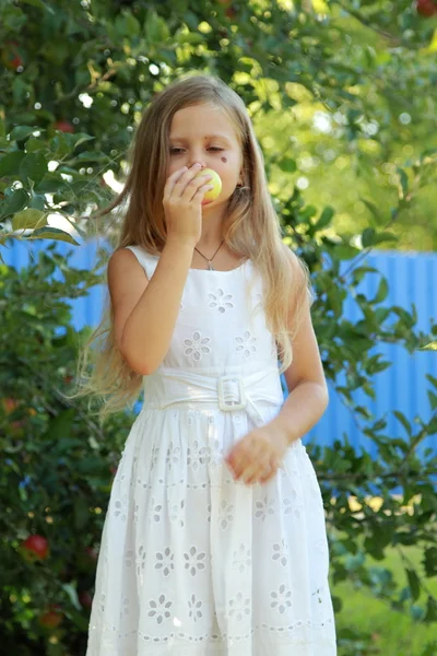 Klein meisje picks appels in een appelboomgaard — Stockfoto