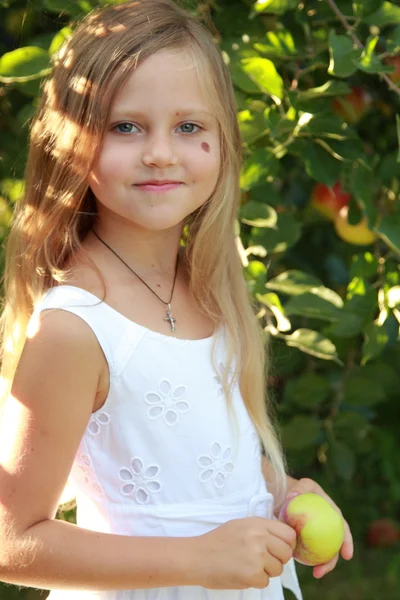 女の子はリンゴ果樹園でリンゴをピックアップします。 — ストック写真