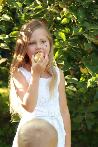 Fille arrache des pommes de l'arbre — Photo