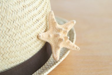 Deniz yıldızı. Deniz Dizayn