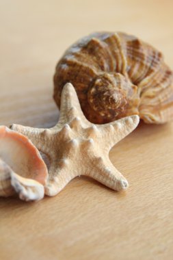 dinlenmek için deniz dekor ve spa tasarım