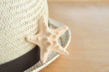 Deniz yıldızı. Deniz Dizayn