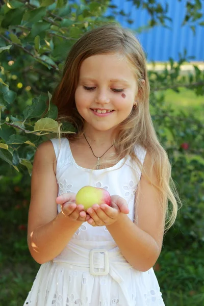 Klein meisje picks appels — Stockfoto