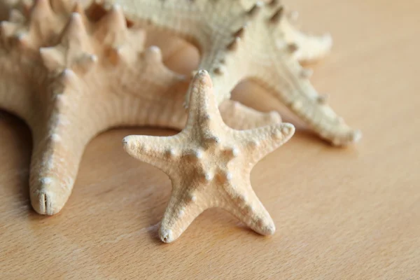 Stella marina con punte su sfondo di legno all'aperto — Foto Stock