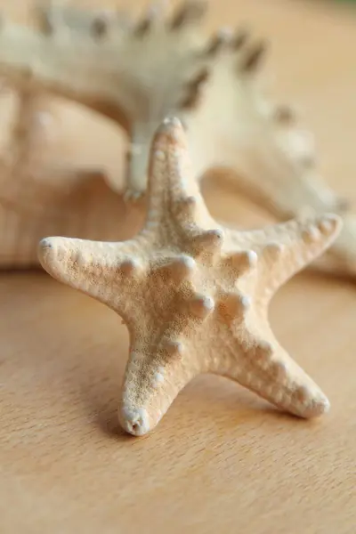Stella marina con punte su sfondo di legno all'aperto — Foto Stock