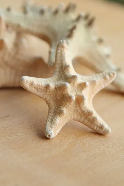 Belle stelle del mare su sfondo di legno — Foto Stock