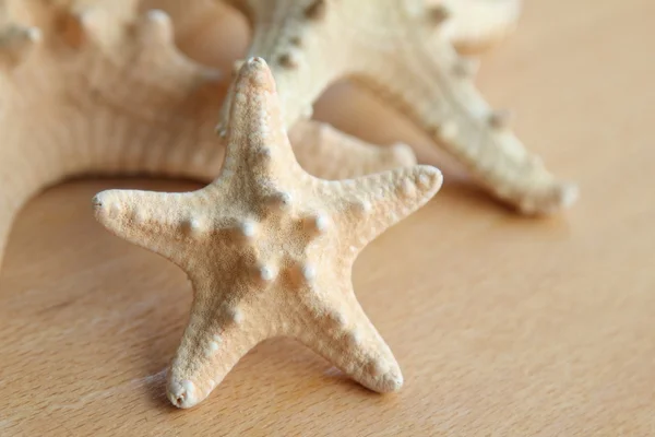 Étoile de mer avec des pointes sur fond en bois à l'extérieur — Photo