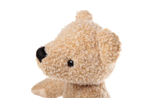 Teddy bear — Stockfoto