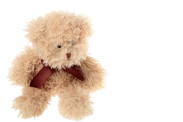 Teddy bear — Stock Photo, Image