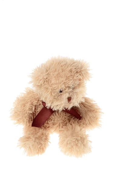 Teddy bear — Stockfoto