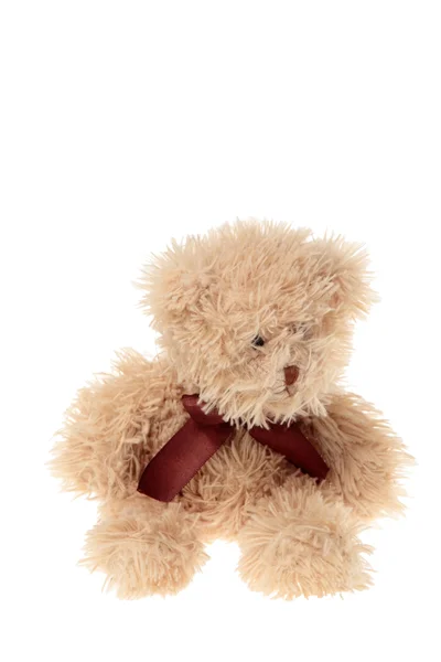 Teddy bear — Stock Photo, Image