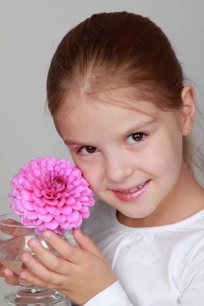 Dziewczynka gospodarstwa świeże Dalia różowy — Zdjęcie stockowe