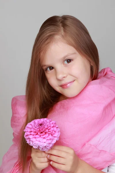Dívka drží růžové Jiřiny — Stock fotografie